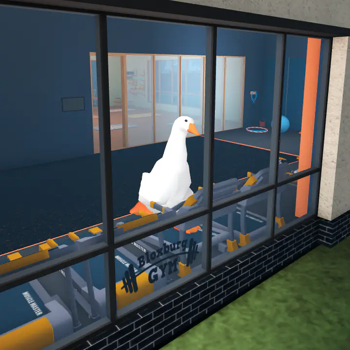 A large duck training their athletics skill on a treadmill